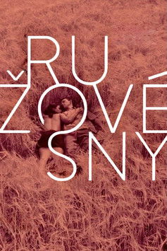 Poster do Filme Rose Tinted Dreams