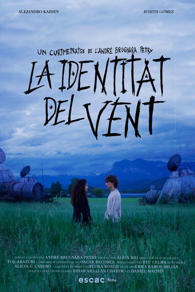Poster do Filme La identitat del vent