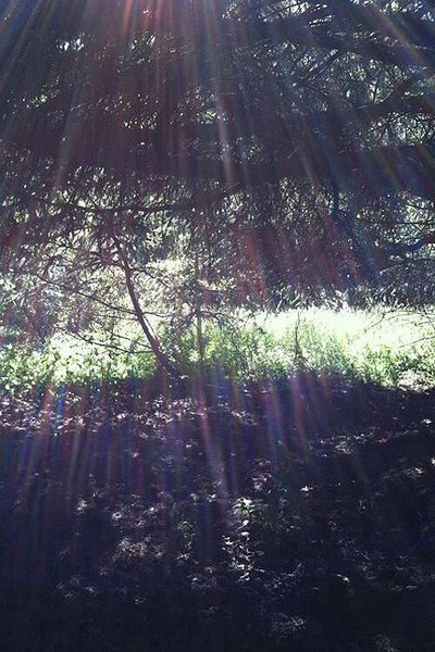 Poster do Filme Spring