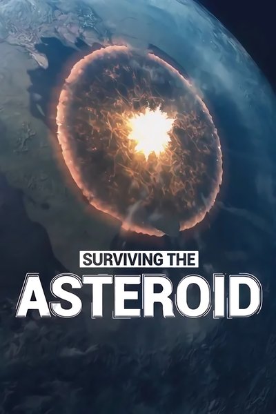 poster for Surviving the Asteroid