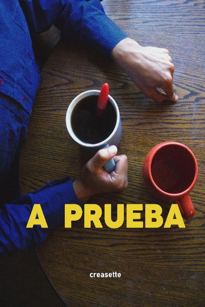 movie poster for Proof