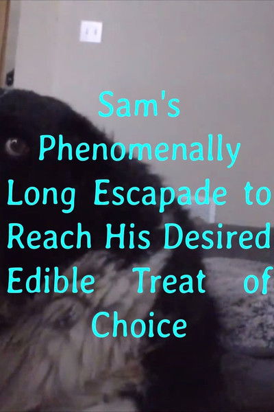Poster do Filme Sam's Phenomenally Long Escapade to Reach His Desired Edible Treat of Choice