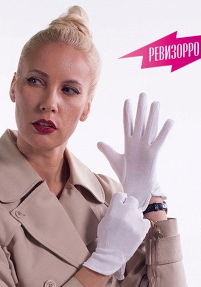 poster for Revizorro