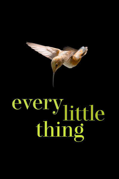 Every Little Thing image