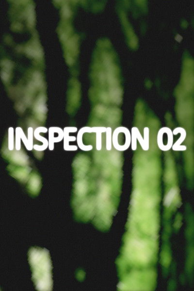 Poster do Filme Inspection 02