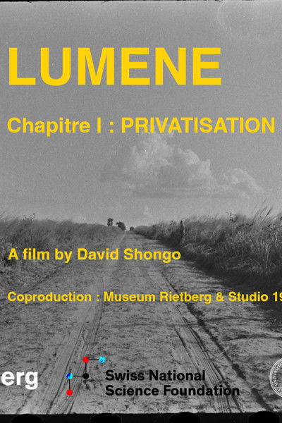 Poster do Filme Lumene: Privatisation