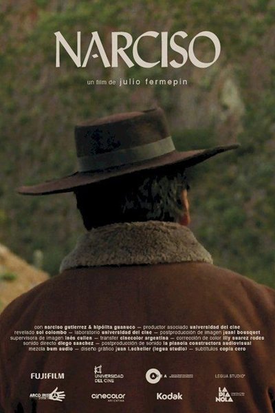 Poster do Filme Narciso