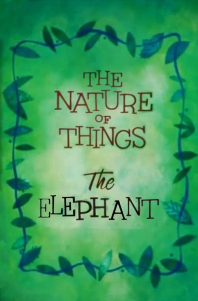 Poster do Filme The Nature of Things: The Elephant