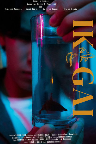 movie poster for Ikigai