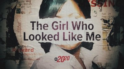 The Girl Who Looked Like Me