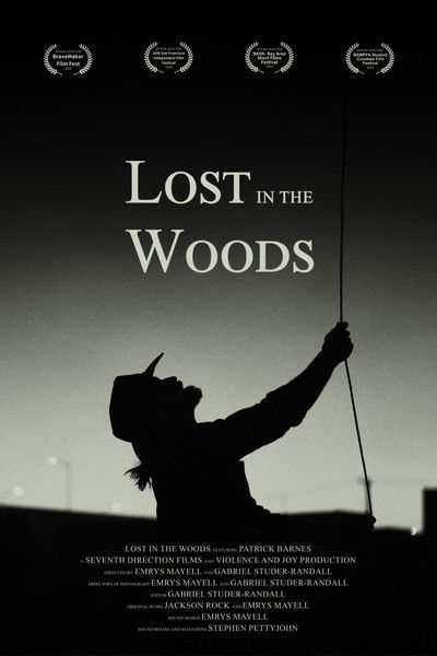 Poster do Filme Lost in the Woods