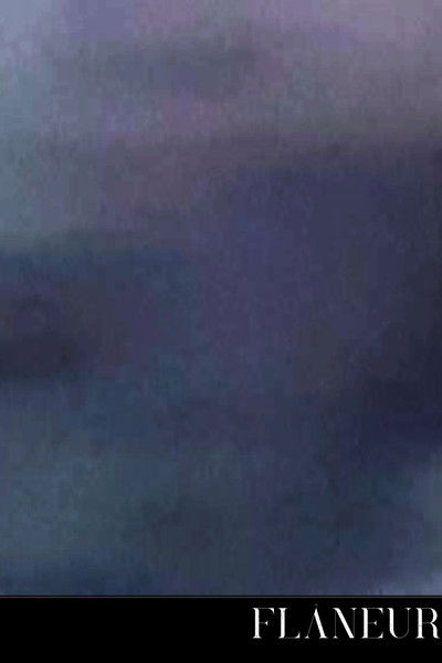 Poster do Filme Flâneur