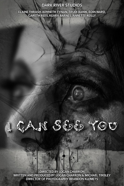 movie poster for I Can See You