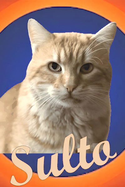 Poster do Filme Sulto