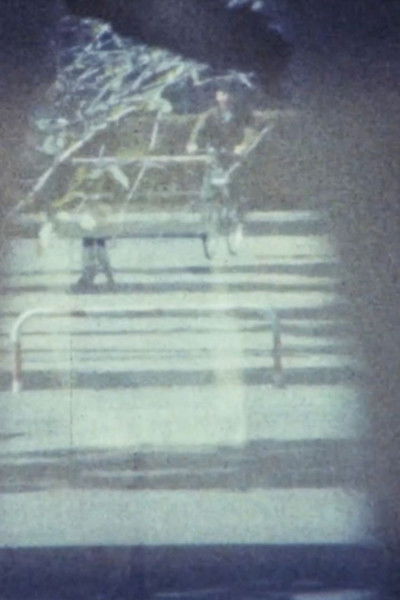 Poster do Filme ガラガラの夢