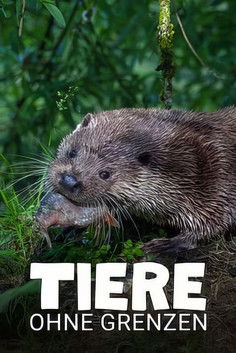 Poster do Filme Tiere ohne Grenzen