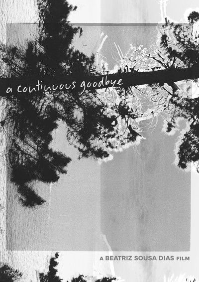 Poster do Filme A Continuous Goodbye