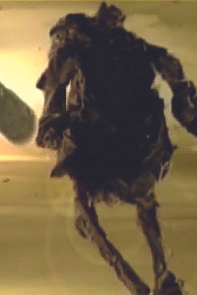 Poster do Filme Everloving