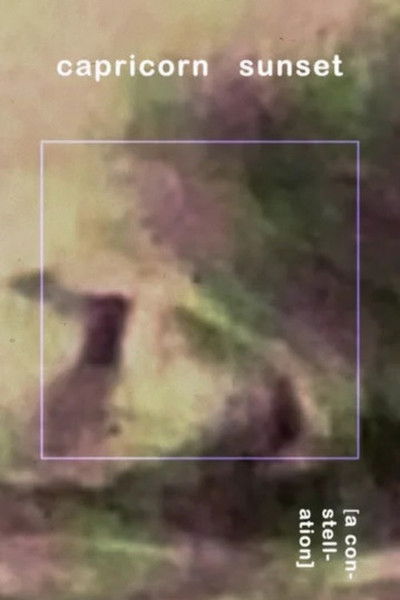 Poster do Filme capricorn sunset [a constellation]