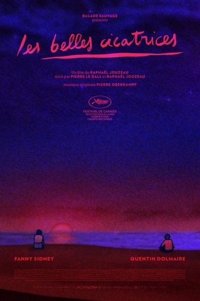 Poster do Filme Les Belles Cicatrices
