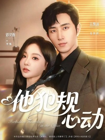 poster for 他犯规心动
