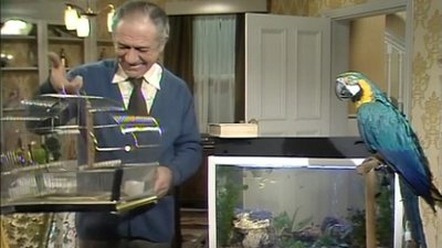 tv poster