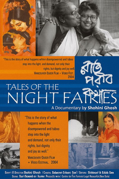 Poster do Filme Tales of the Night Fairies
