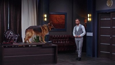 tv poster