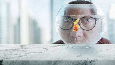Real Rob (2015) Watch Online Free | ඔන්ලයින් බලන්න