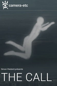 Poster do Filme The Call