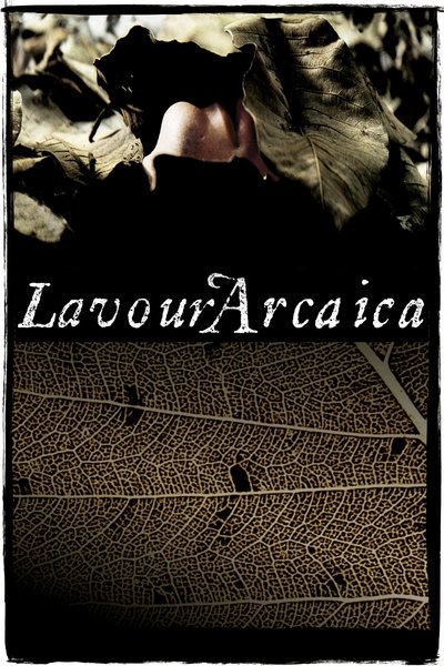 Poster do Filme Lavoura Arcaica
