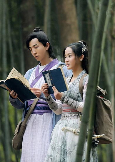 poster for 过遍千城才识君