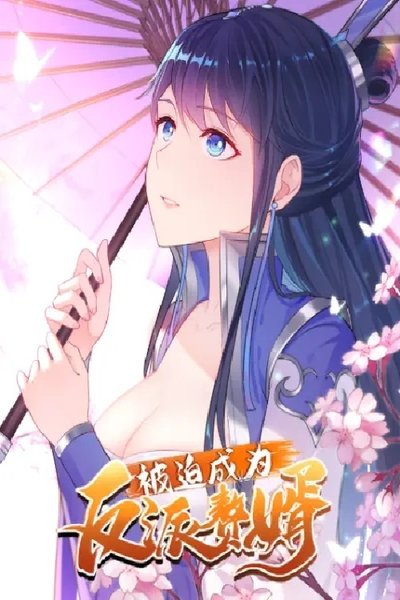 poster for 被迫成为反派赘婿