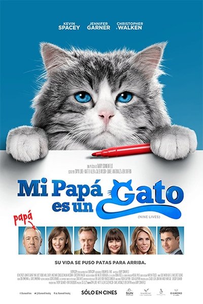 Siete vidas, este gato es un peligro (2016)
