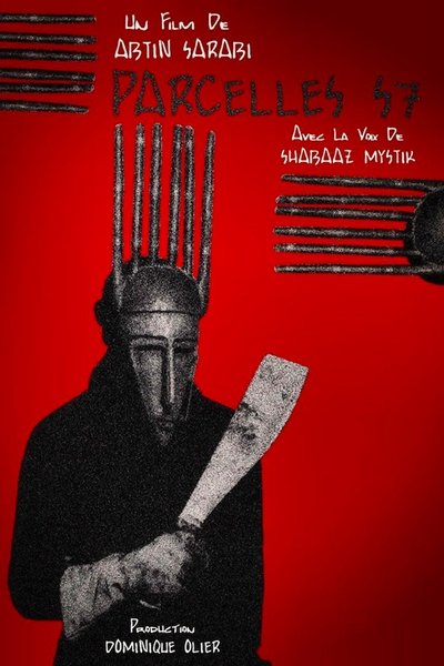 Poster do Filme Parcelles S7