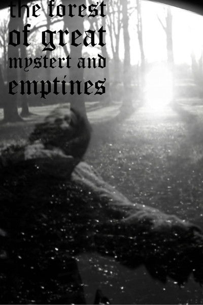Poster do Filme the forest of great mystery and emptiness