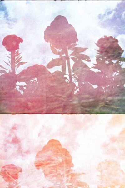 Poster do Filme Piedra de Sol