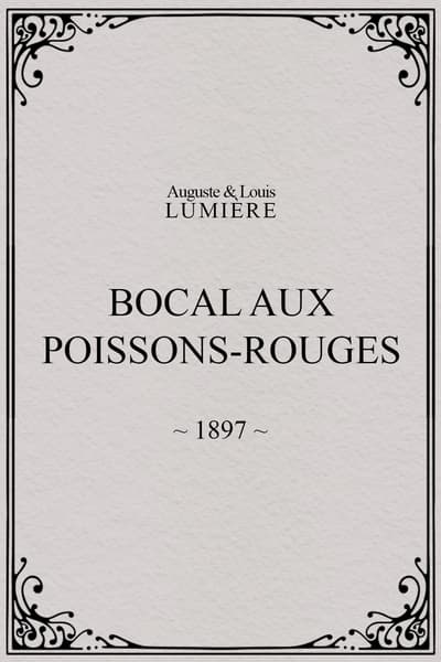 Bocal aux poissons rouges