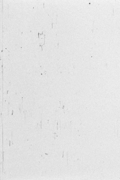 Poster do Filme Weiß