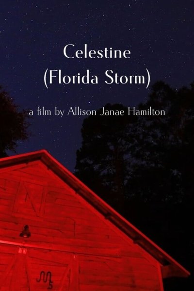 movie poster for Celestine (Florida Storm)