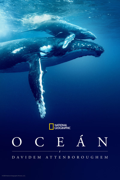 Oceán s Davidem Attenboroughem