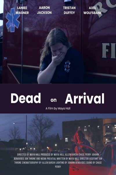 Poster do Filme Dead on Arrival