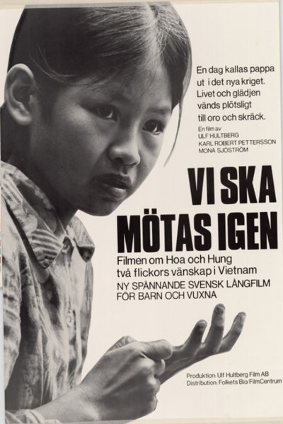 Poster do Filme Vi ska mötas igen