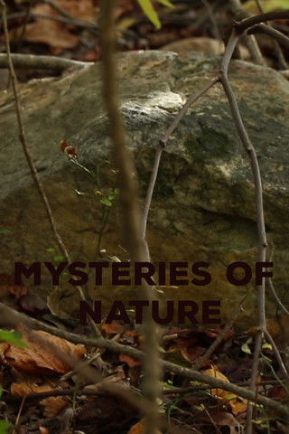 Poster do Filme Mysteries of Nature