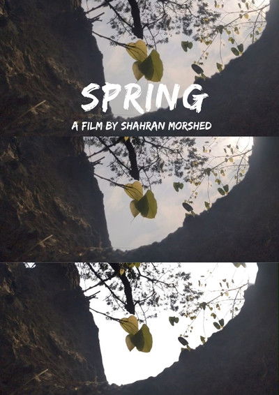 Poster do Filme Spring