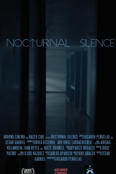 movie poster for Nocturnal Silence