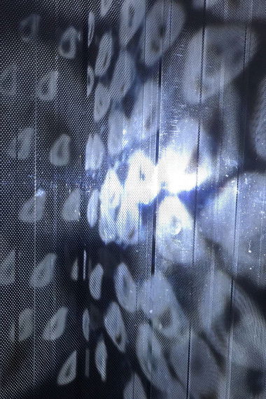 Poster do Filme Film Ambiente