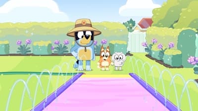 tv poster
