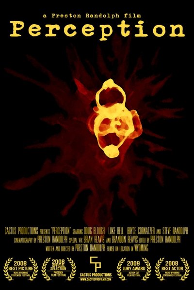 Poster do Filme Perception