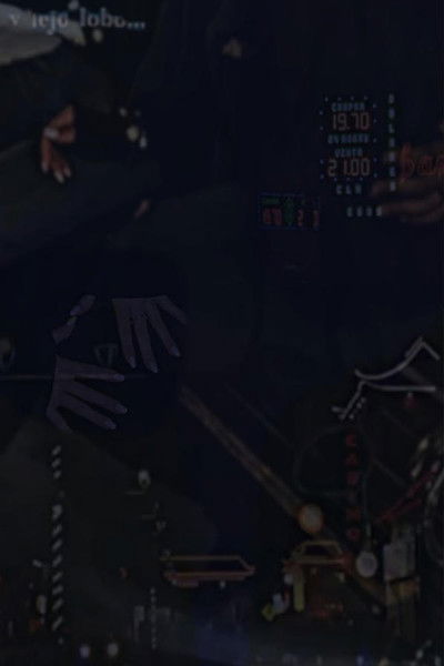 Poster do Filme VIEJO LOBO